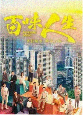雾港迷踪 热播电视剧免费播放